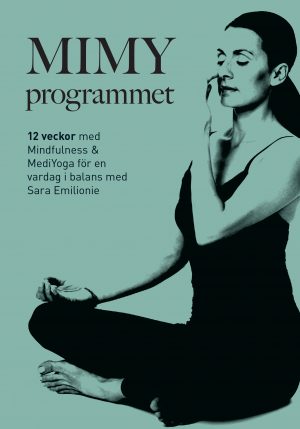 MIMY programmet - 12v